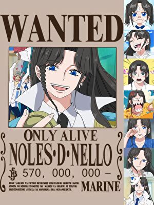 一个普通海米罢辽［海贼王］